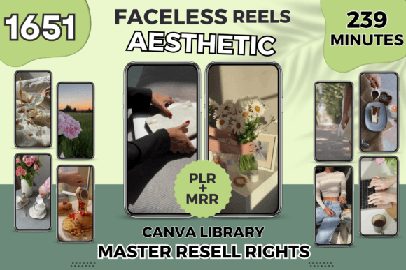 Aesthetic Reels for Instagram & TikTok – Editable Canva Templates with PLR MRR