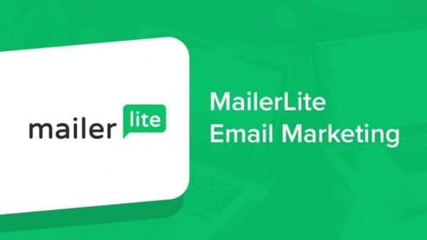 MailerLite Growth Plan 1 Year Dashboard